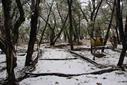 Texas Land Art Artists Show
